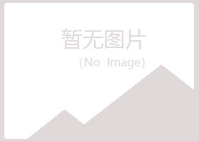 九江庐山冰夏服务有限公司